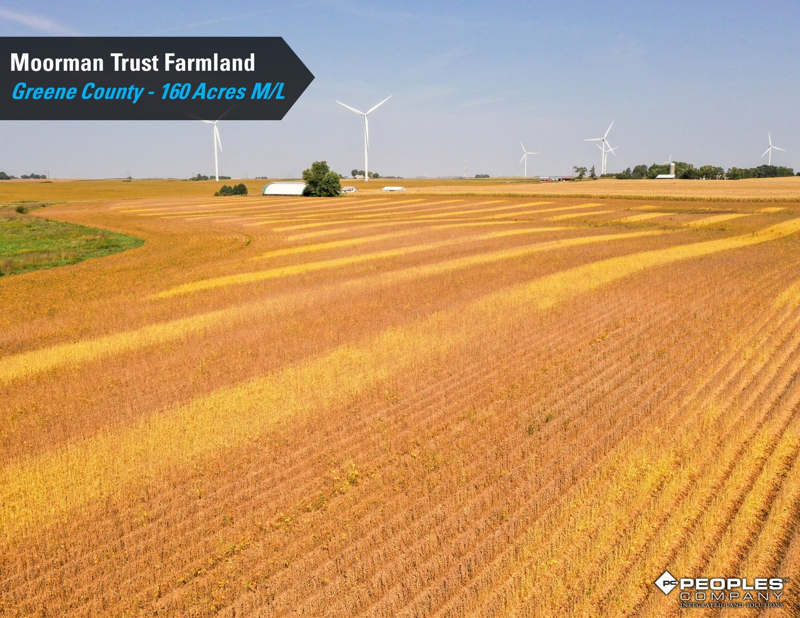 Listing Photo: Greene-County-Iowa-Farmland-Auction-160-Acres-Moorman-Rippey-IA-18618 (14)